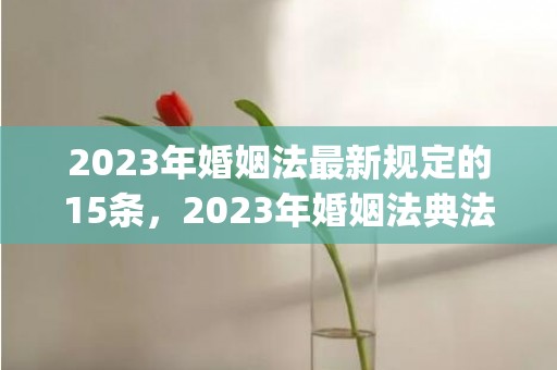 2023年婚姻法最新规定的15条，2023年婚姻法典法抚养费(婚姻法孩子抚养费)