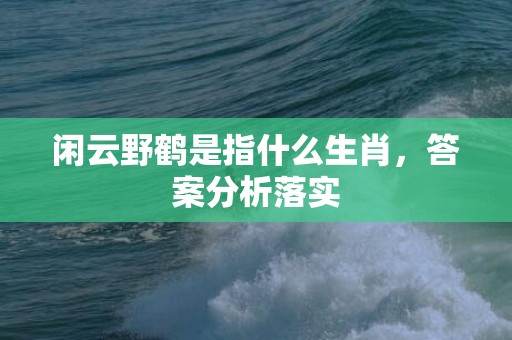 闲云野鹤是指什么生肖，答案分析落实