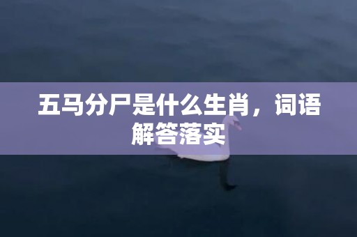 五马分尸是什么生肖，词语解答落实