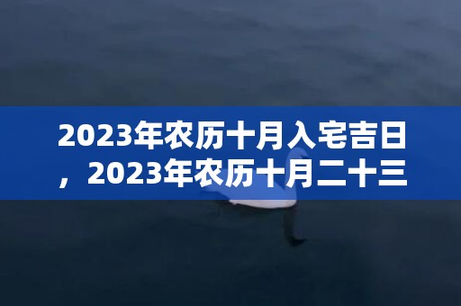 2023年农历十月入宅吉日，2023年农历十月二十三适合结婚吗，2023年几月结婚最好