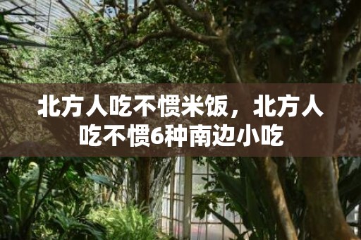 北方人吃不惯米饭，北方人吃不惯6种南边小吃