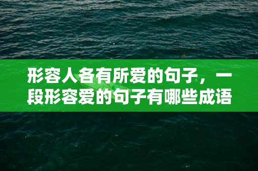 形容人各有所爱的句子，一段形容爱的句子有哪些成语，形容爱情的四字词语