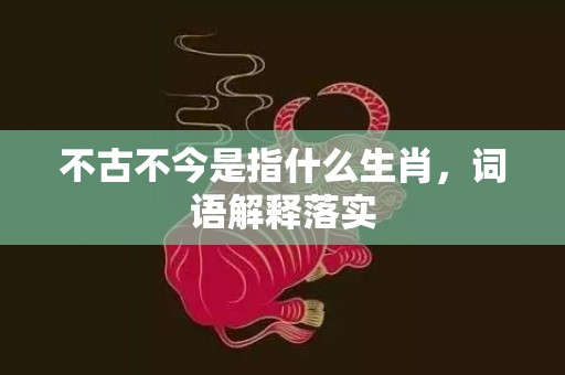 不古不今是指什么生肖，词语解释落实