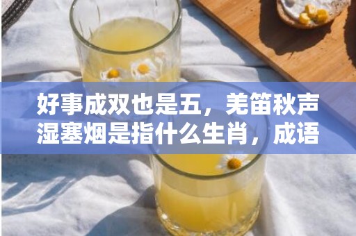 好事成双也是五，羌笛秋声湿塞烟是指什么生肖，成语解释落实