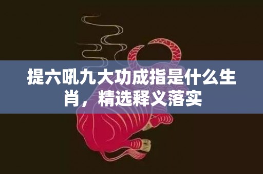 提六吼九大功成指是什么生肖，精选释义落实