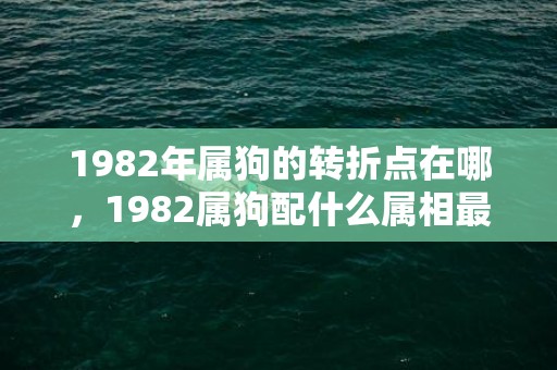 1982年属狗的转折点在哪，1982属狗配什么属相最好