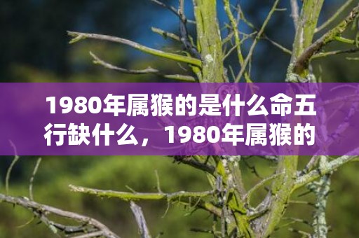 1980年属猴的是什么命五行缺什么，1980年属猴的婚姻配什么属相