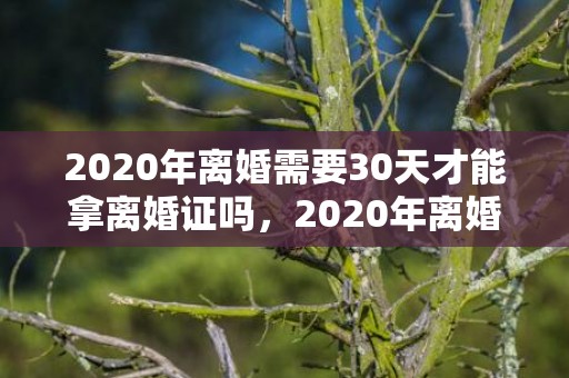 2020年离婚需要30天才能拿离婚证吗，2020年离婚需要什么手续有冷静期吗