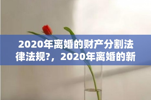 2020年离婚的财产分割法律法规?，2020年离婚的新法律是什么