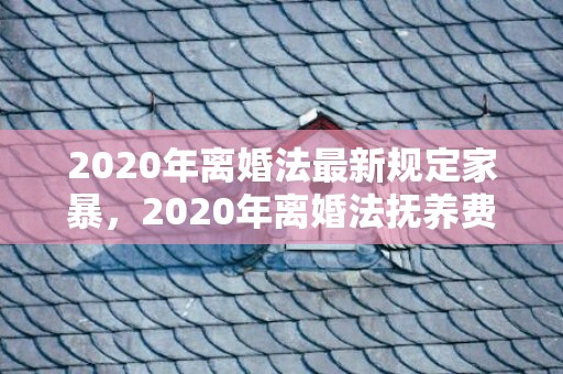 2020年离婚法最新规定家暴，2020年离婚法抚养费最新规定是什么标准