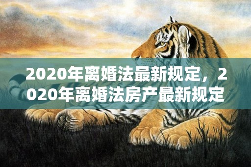 2020年离婚法最新规定，2020年离婚法房产最新规定是什么意思啊怎么算