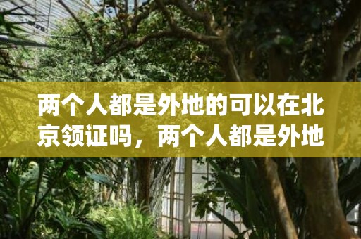 两个人都是外地的可以在北京领证吗，两个人都是外地的能在当地法院起诉吗怎么办(法院起诉离婚要两人一起去吗)