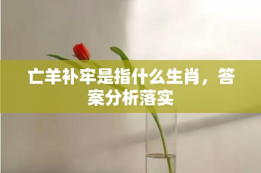 亡羊补牢是指什么生肖，答案分析落实