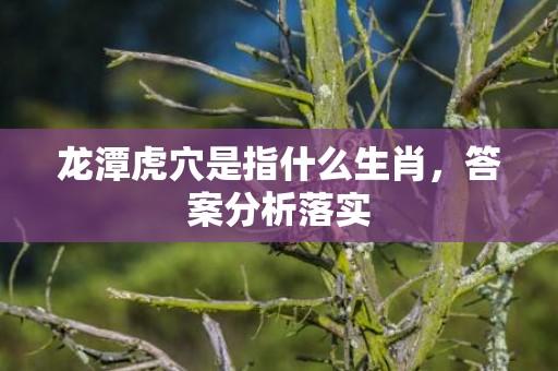 龙潭虎穴是指什么生肖，答案分析落实