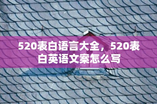 520表白语言大全，520表白英语文案怎么写