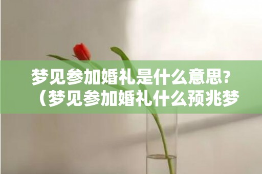 梦见参加婚礼是什么意思?（梦见参加婚礼什么预兆梦见参加婚礼好不好）