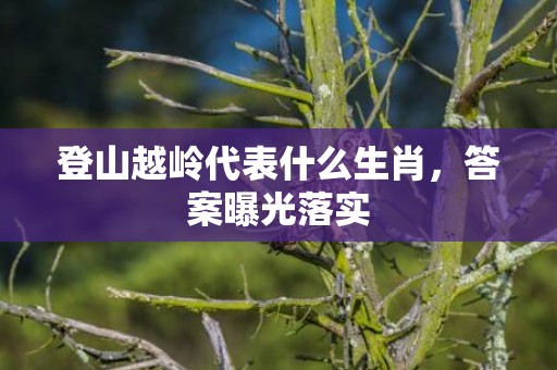 登山越岭代表什么生肖，答案曝光落实