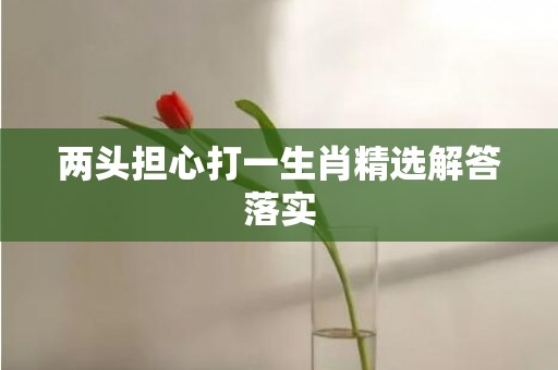 两头担心打一生肖精选解答落实