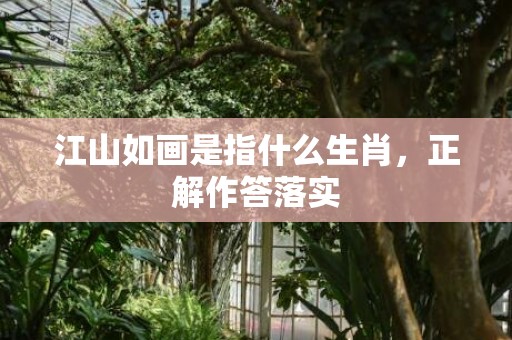 江山如画是指什么生肖，正解作答落实