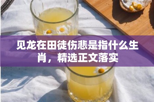 见龙在田徒伤悲是指什么生肖，精选正文落实