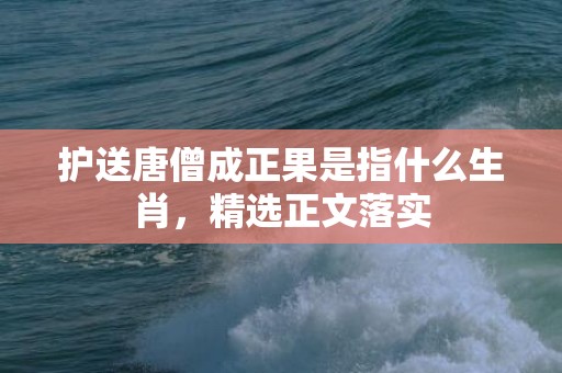 护送唐僧成正果是指什么生肖，精选正文落实