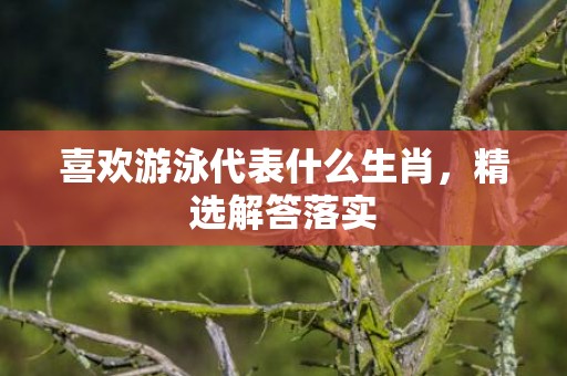 喜欢游泳代表什么生肖，精选解答落实