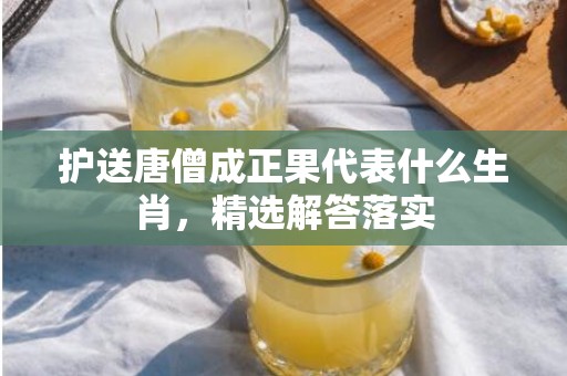 护送唐僧成正果代表什么生肖，精选解答落实