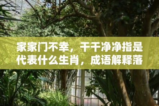 家家门不幸，干干净净指是代表什么生肖，成语解释落实