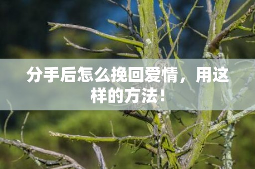 分手后怎么挽回爱情，用这样的方法！