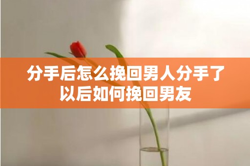 分手后怎么挽回男人分手了以后如何挽回男友