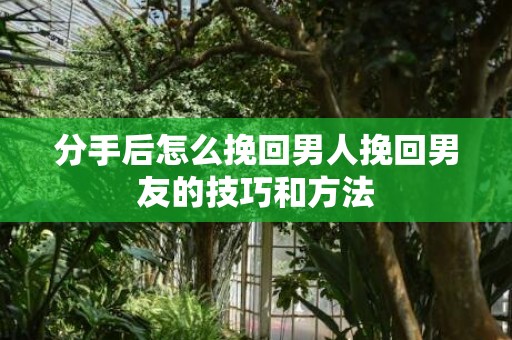 分手后怎么挽回男人挽回男友的技巧和方法