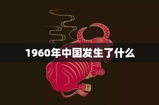 1960年中国发生了什么