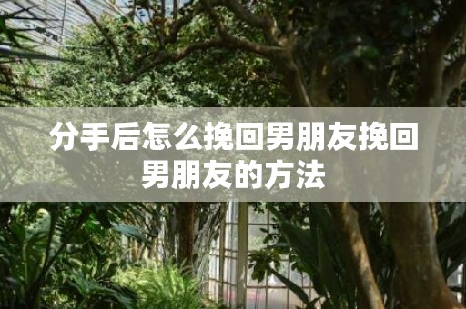 分手后怎么挽回男朋友挽回男朋友的方法