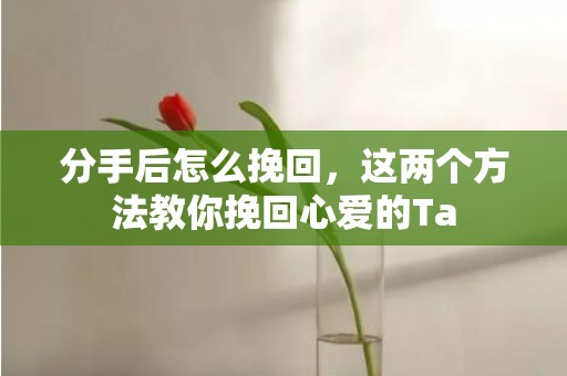 分手后怎么挽回，这两个方法教你挽回心爱的Ta