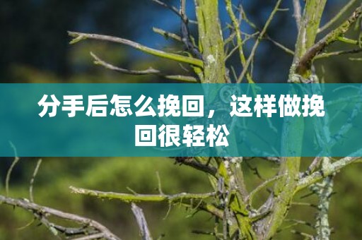 分手后怎么挽回，这样做挽回很轻松