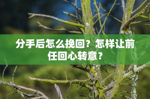 分手后怎么挽回？怎样让前任回心转意？