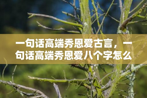 一句话高端秀恩爱古言，一句话高端秀恩爱八个字怎么说？秀恩爱的短句8个字