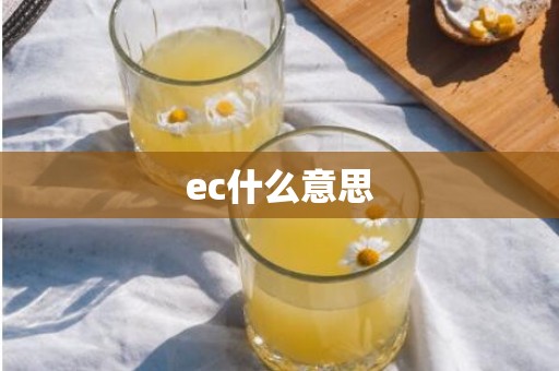 ec什么意思