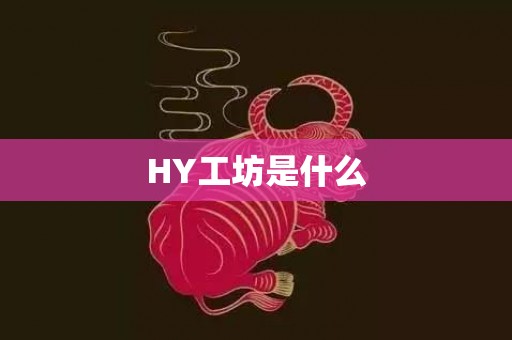 HY工坊是什么