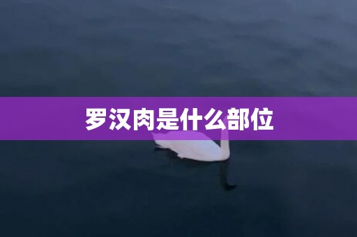 罗汉肉是什么部位