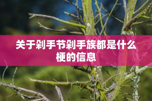 关于剁手节剁手族都是什么梗的信息