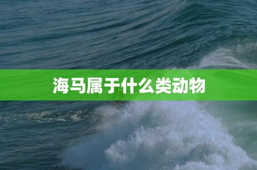 海马属于什么类动物