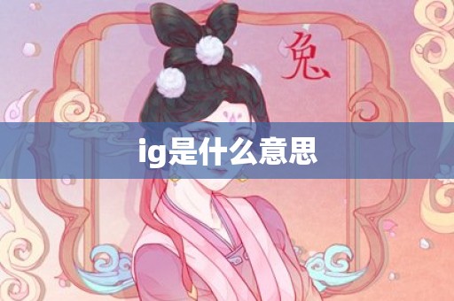 ig是什么意思