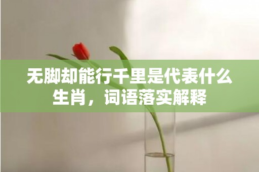 无脚却能行千里是代表什么生肖，词语落实解释