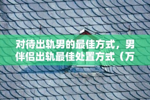 对待出轨男的最佳方式，男伴侣出轨最佳处置方式（万一我的男伴侣出轨了怎么办）