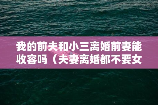 我的前夫和小三离婚前妻能收容吗（夫妻离婚都不要女儿被判不许离）