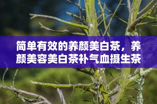 简单有效的养颜美白茶，养颜美容美白茶补气血摄生茶 养颜美容的花有哪些