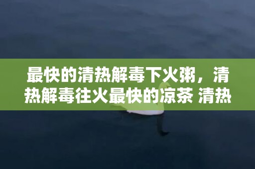 最快的清热解毒下火粥，清热解毒往火最快的凉茶 清热解毒往火最快的汤