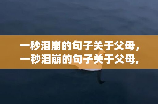 一秒泪崩的句子关于父母，一秒泪崩的句子关于父母,八个字(一秒泪崩的视频)