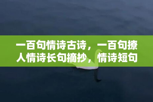 一百句情诗古诗，一百句撩人情诗长句摘抄，情诗短句 最美